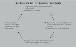 Adventure Medical Kits Canine Field Medicine Book 4000-1520 -Holsters Shop adventure medical kits canine field medicine book 4000 1520 4000 1520 59942.1635811172