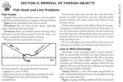 Adventure Medical Kits Canine Field Medicine Book 4000-1520 -Holsters Shop adventure medical kits canine field medicine book 4000 1520 4000 1520 72182.1635811176