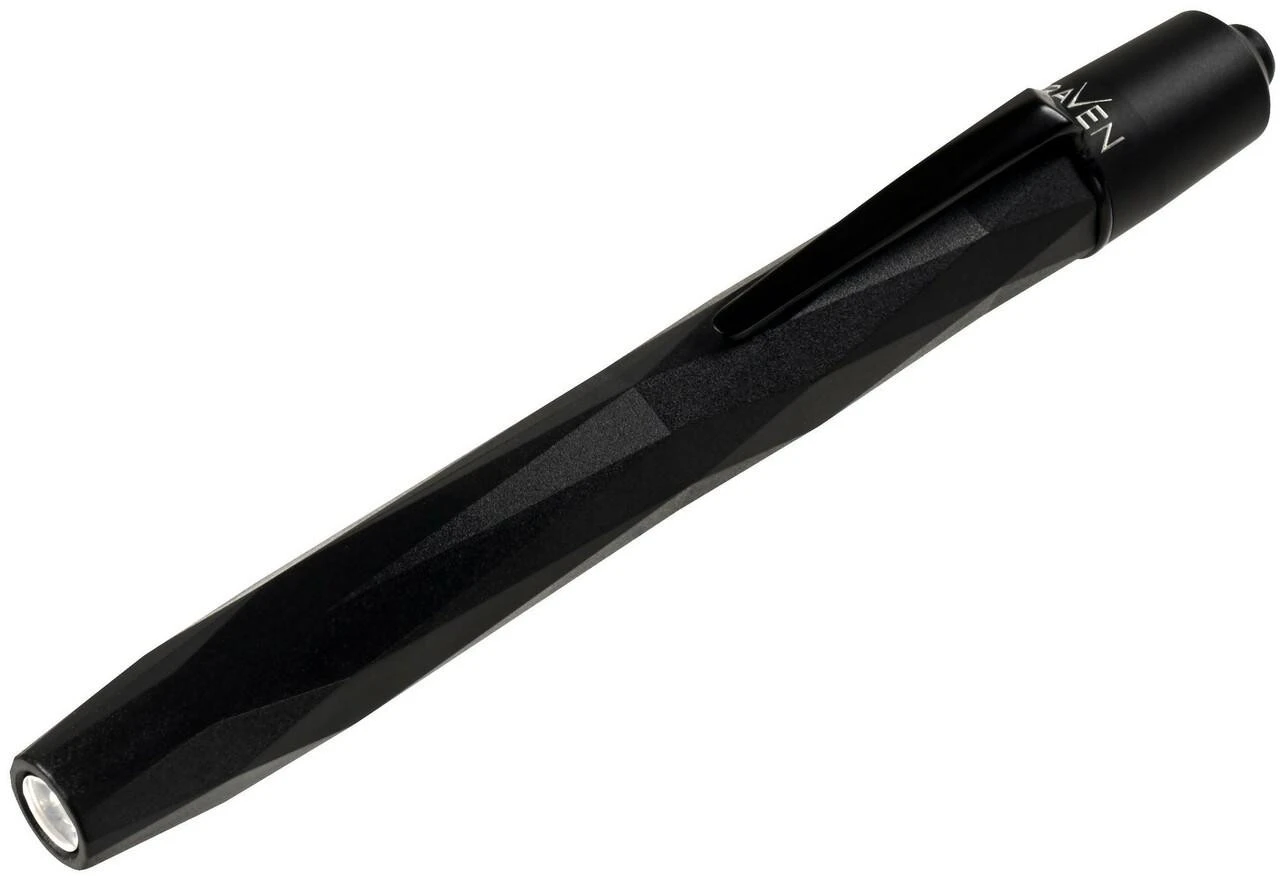 ASP Raven AAA Flashlight 35740 3 ASP Raven AAA Flashlight 35740