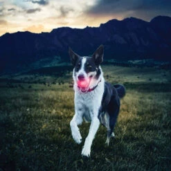 Nite Ize GlowStreak LED Ball Red -Holsters Shop nite ize glowstreak led ball gsb 10 r7 71742.1607530127