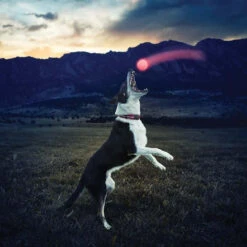 Nite Ize GlowStreak LED Ball Red -Holsters Shop nite ize glowstreak red led ball gsb 10 r7 50014.1607554982