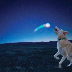 Nite Ize Huck 'N Tuck Glowstreak Collapsible Thrower + LED Ball -Holsters Shop nite ize huck n tuck glowstreak collapsible thrower led ball hntg 01 r7 84546.1608161944