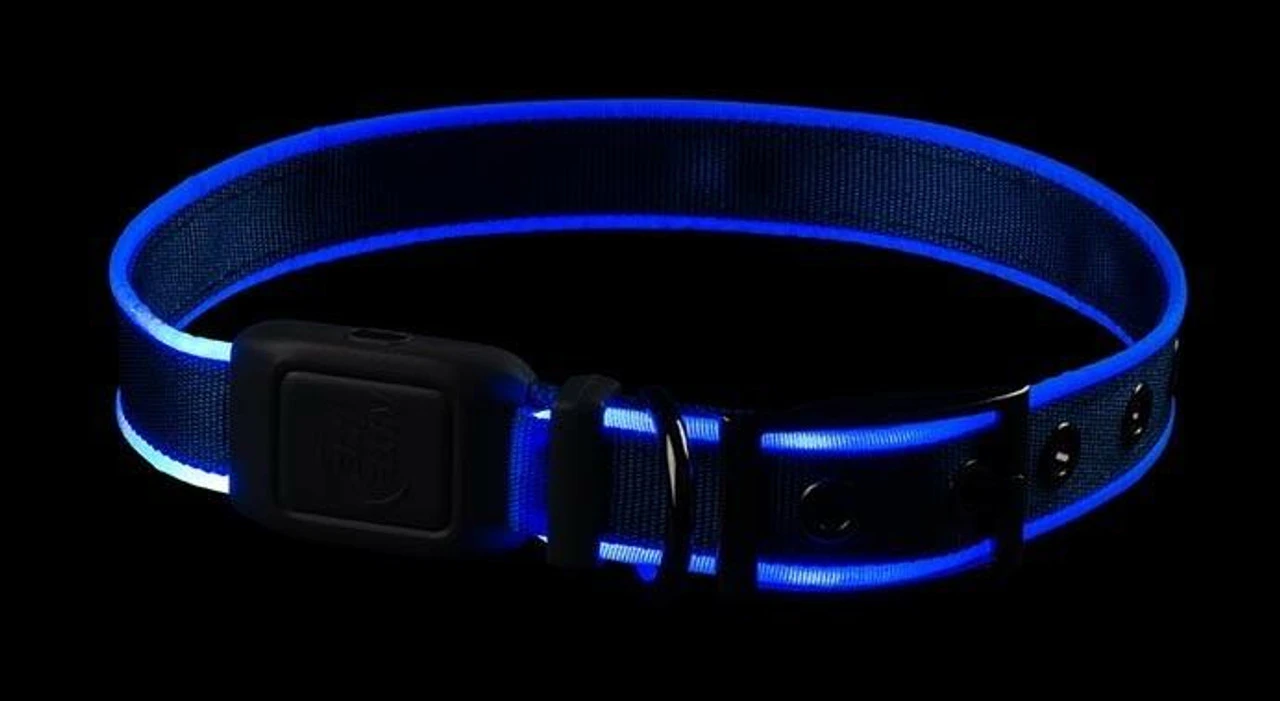 Nite Ize NiteDog Rechargeable LED Collar 6 Nite Ize NiteDog Rechargeable LED Collar - Image 4
