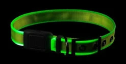 Nite Ize NiteDog Rechargeable LED Collar 16 Nite Ize NiteDog Rechargeable LED Collar -Holsters Shop nite ize nitedog rechargeable led collar ndcr 46718.1616660237