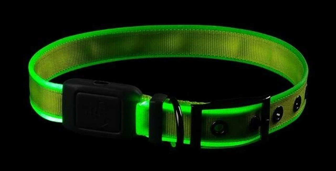 Nite Ize NiteDog Rechargeable LED Collar 8 Nite Ize NiteDog Rechargeable LED Collar - Image 6