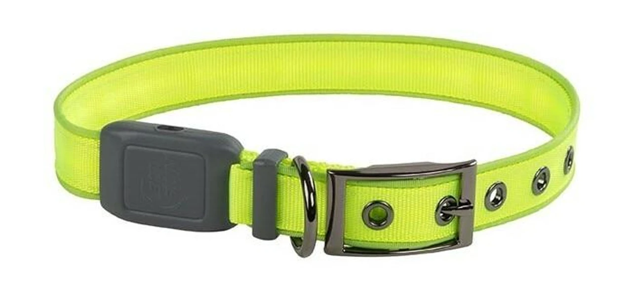 Nite Ize NiteDog Rechargeable LED Collar 7 Nite Ize NiteDog Rechargeable LED Collar - Image 5