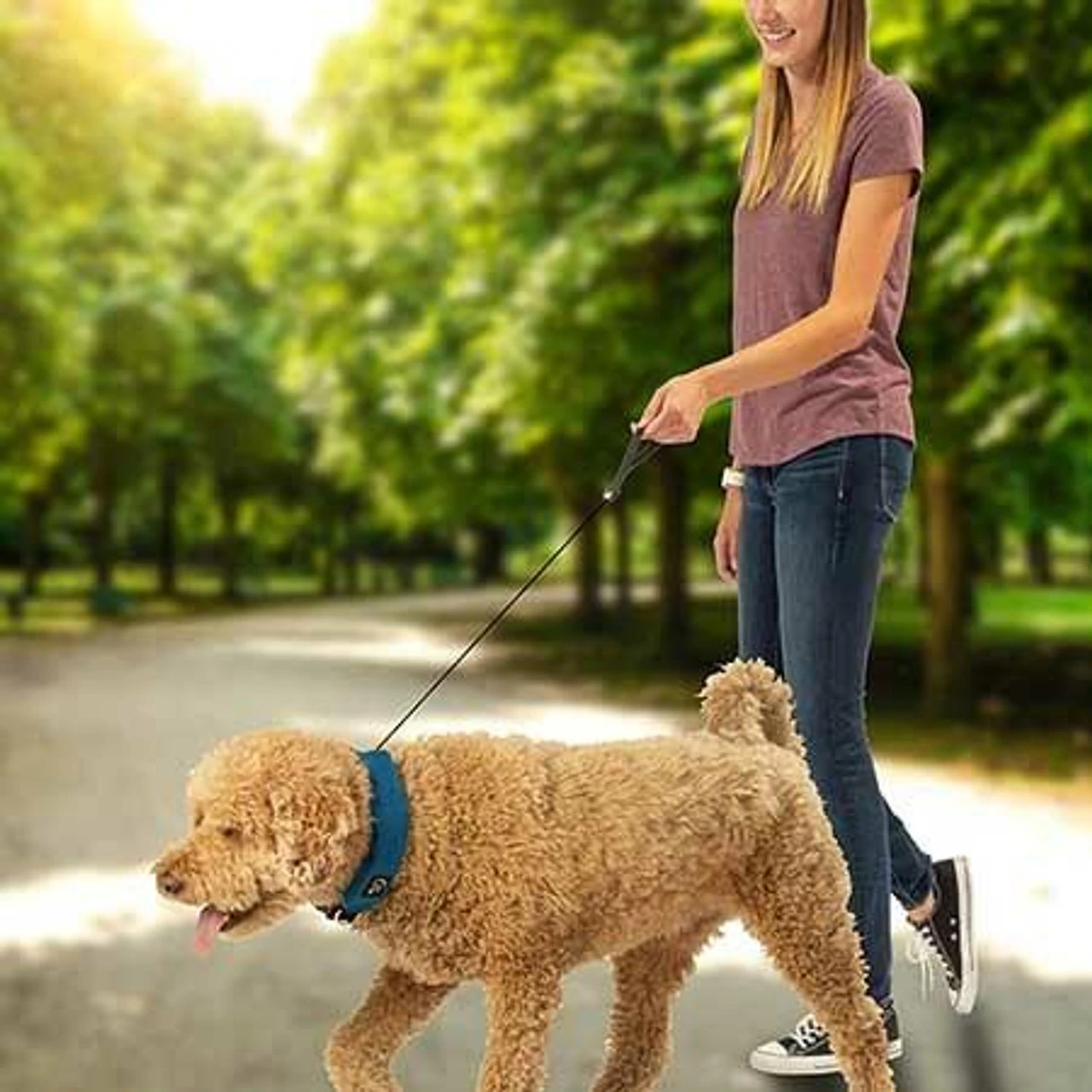 Nite Ize RadDog All-In-One Collar + Leash 3 Nite Ize RadDog All-In-One Collar + Leash