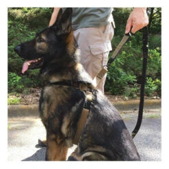 Red Rock Outdoor Gear Dog Harness -Holsters Shop red rock outdoor gear dog harness 38 30 rr 02589.1606552644