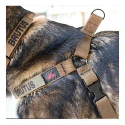 Red Rock Outdoor Gear Dog Harness -Holsters Shop red rock outdoor gear dog harness 38 30 rr 25530.1606552672