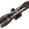 Streamlight ProTac Railmount HL X Long Gun Light 1 Streamlight ProTac Railmount HL X Long Gun Light -Holsters Shop streamlight protac railmount hl x long gun light 88066 86823.1603744957