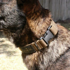 United States Tactical Cobra Buckle K9 Collar -Holsters Shop united states tactical cobra buckle k9 collar ust k9c0010 cb 03529.1648217831