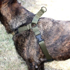 United States Tactical K9 Harness -Holsters Shop united states tactical k9 harness ust k9h0010 09565.1659551254