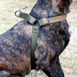 United States Tactical K9 Harness -Holsters Shop united states tactical k9 harness ust k9h0010 14330.1659551257