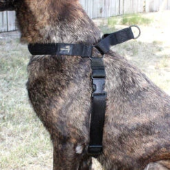 United States Tactical K9 Harness -Holsters Shop united states tactical k9 harness ust k9h0010 95683.1659551263