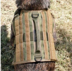 United States Tactical K9 Molle Vest -Holsters Shop united states tactical k9 molle vest ust k9v0010 47159.1648217811