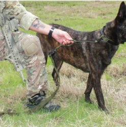 United States Tactical Quick Release And HK Hook K9 Leash 15 United States Tactical Quick Release And HK Hook K9 Leash -Holsters Shop united states tactical quick release and hk hook k9 leash ust k9l0010 06993.1648217866