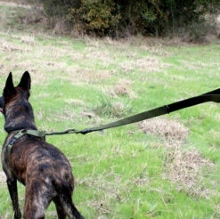 United States Tactical Quick Release And HK Hook K9 Leash 17 United States Tactical Quick Release And HK Hook K9 Leash -Holsters Shop united states tactical quick release and hk hook k9 leash ust k9l0010 65824.1648217841