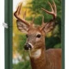 Zippo Windproof Green Matte Deer Lighter -Holsters Shop zippo windproof green matte deer lighter 28471 83417.1603746389